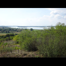 Auf einer Anhöhe nach dem Übersetzen auf die rechte Donauseite